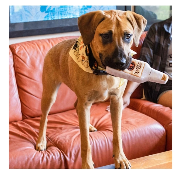 Tito's Vodka Bottle Dog Toy - Picture 2 of 6